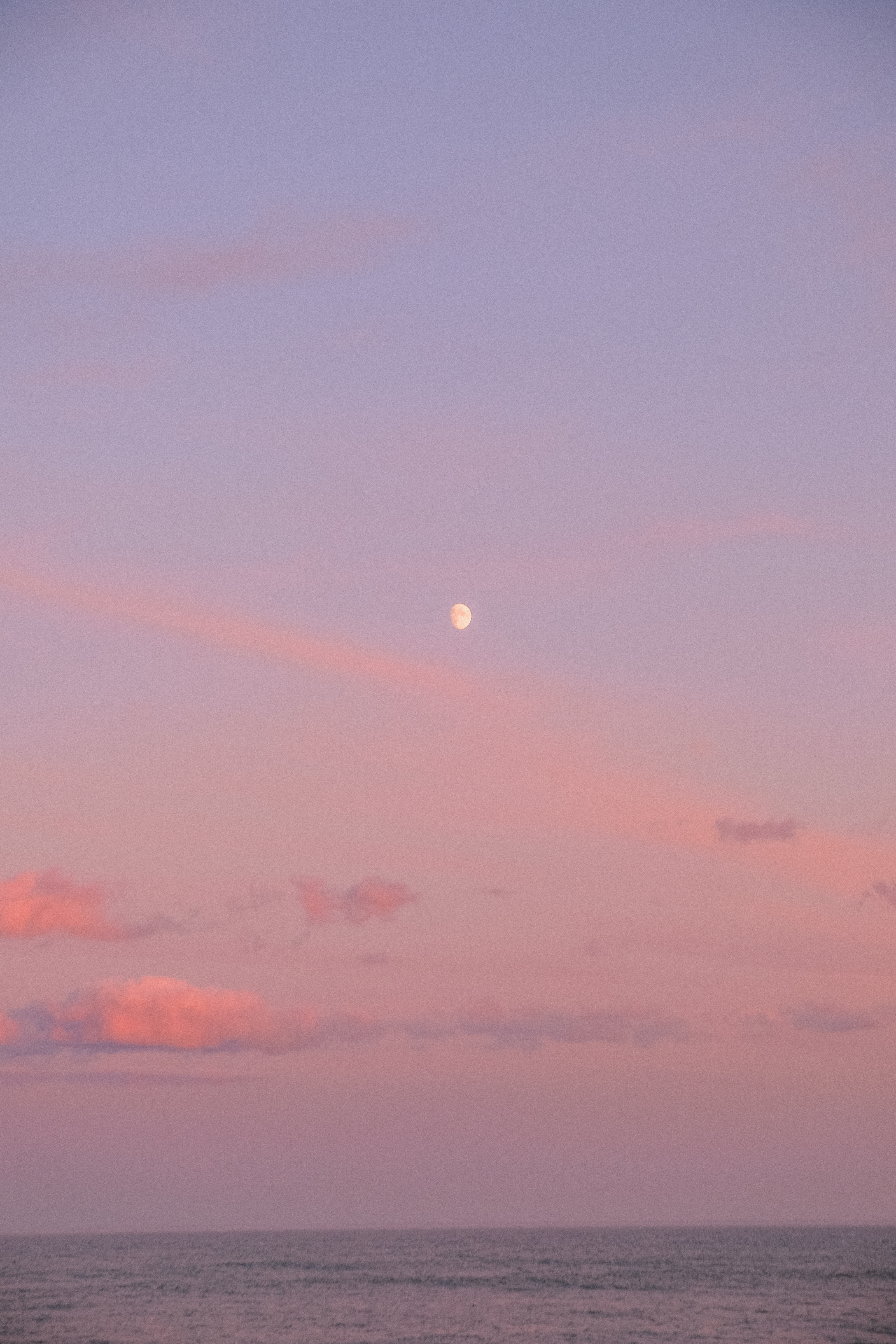 Moon on Pink Skies